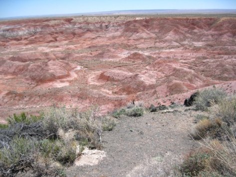 Daily Photo 26 August