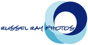 Pictures copyright 2012 Russel Ray Photos