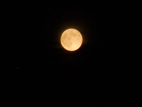 Super Moon-8-11-14 003