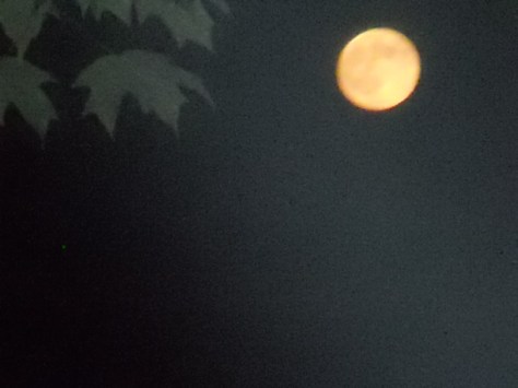 super moon- 8-11-14-2