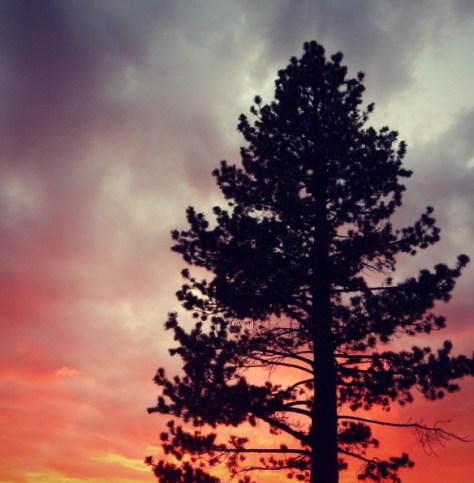 tahoesunset