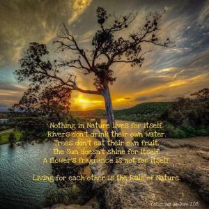 564213_537061966346172_993070725_n