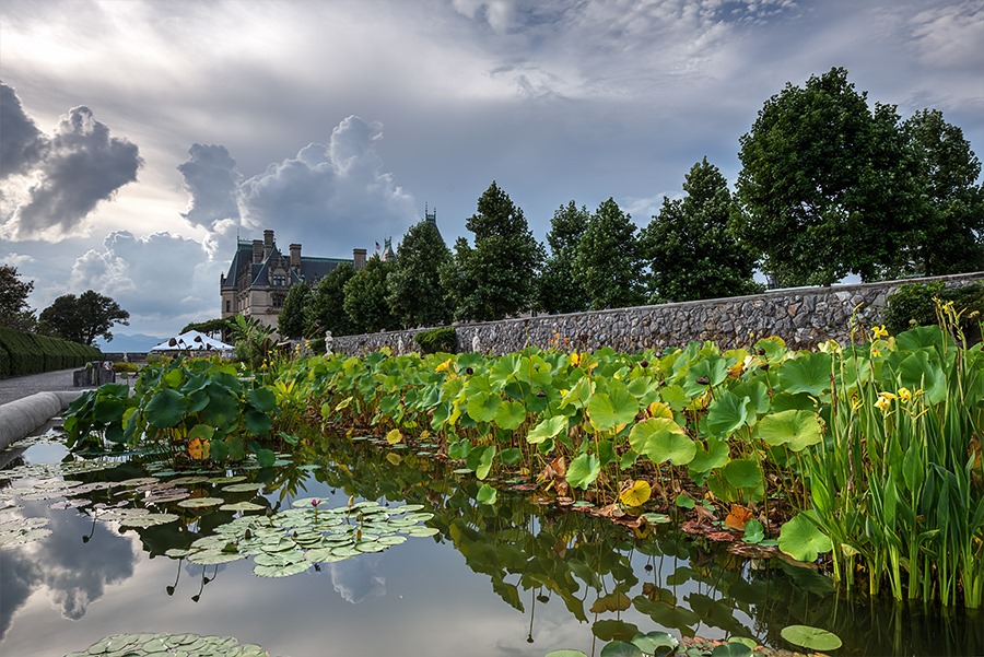 Click me!!! Click me!!!