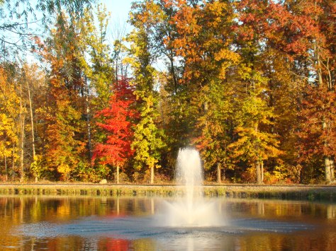 My neighborhood pond, Autumn.   Photographed and copyrighted by Barbara Mattio 2013