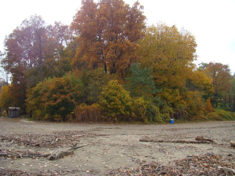 autumn color at the beach. Photographed and copyrighted by Barbara Mattio 2011