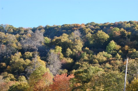 Smokey Mountains. Photographed and copyrighted by Barbara Mattio 2010