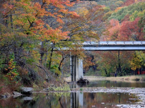 poetry, healing, letting go