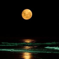 moonlight by the beach