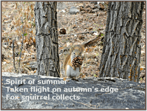 RonovanWrites - Spirit&amp;Flight