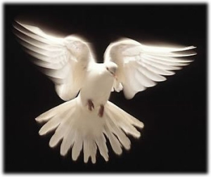 The Dove of Peace.