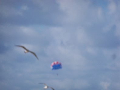 The skies are filled with the beauty of Mother Earth. Photographed and copyrighted by Barbara Mattio 2015