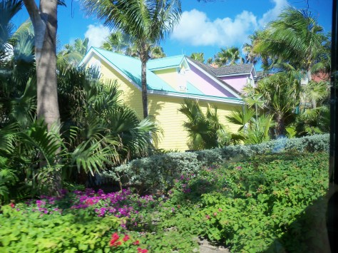 The beauty of the earth is everywhere, mankind has not destroyed what we have been given. Photographed and copyrighted by Barbara Mattio 2015