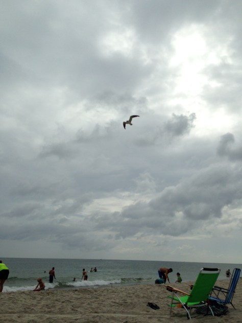 Photograph and copyright by Barbara Mattio 2015