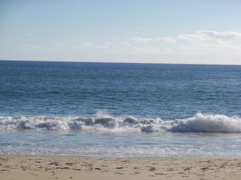 Laguna beach. Photograph and copyright by Amy Halperin