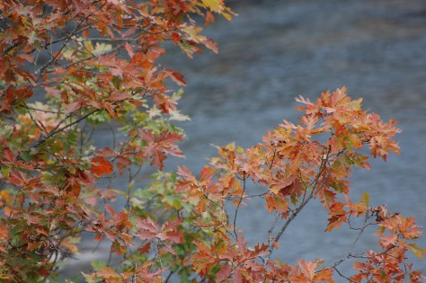 Photograph and copyright by Barbara Mattio 2015