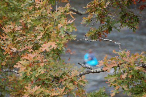 Paddling upriver. Photograph and copyright by Barbara Mattio 2015
