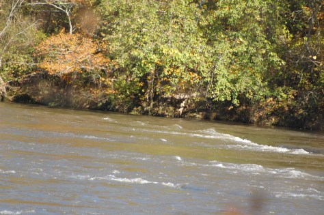 The River. Photograph and copyright by Barbara Mattio 2015