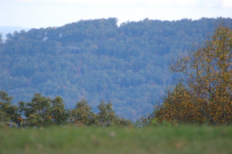 Sometimes no words are necessary. Photograph and copyright by Barbara Mattio 2015