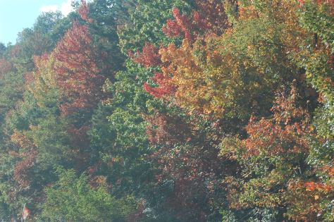 The higher elevation you are at, the more colors you see. Photograph and copyright by Barbara Mattio 2015