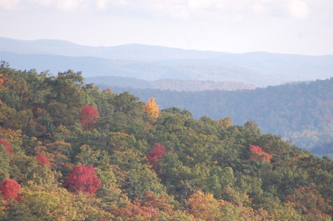 The joy of color. Photograph and copyright by Barbara Mattio 2015