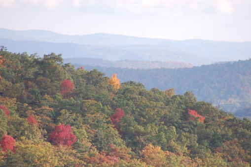 The joy of color. Photograph and copyright by Barbara Mattio 2015