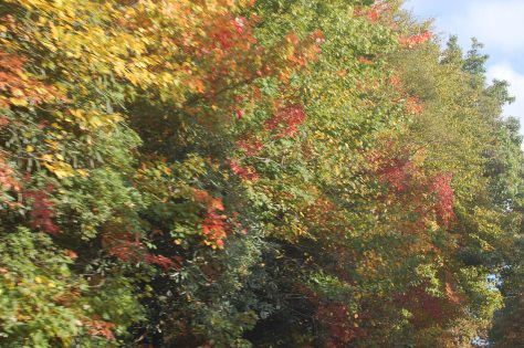 A beautiful colorful day. Photograph and copyright by Barbara Mattio 2015