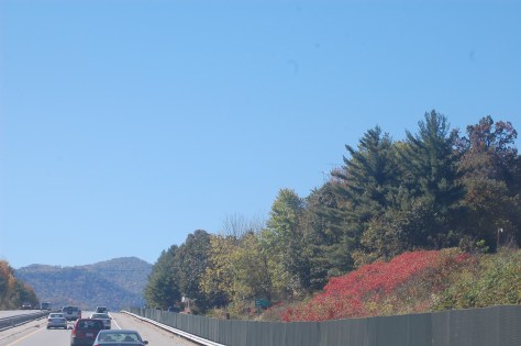 Changing Leaves from the Road Photograph & Copyright Barbara Mattio 2015