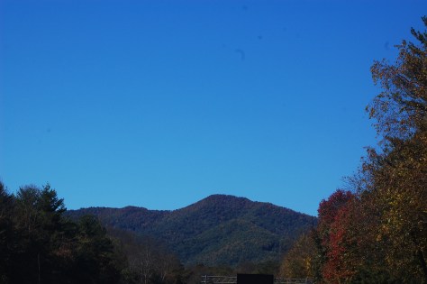 mountain and leaves contrast corrected