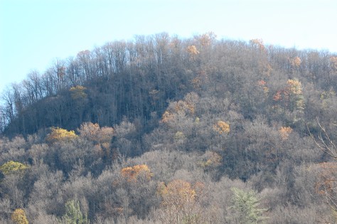 Some areas still have a little bit of color. Photograph and copyright by Barbara Mattio 2015 