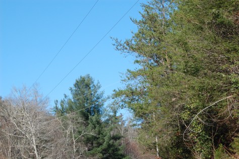 Photograph  and copyright by Barbara Mattio 2015