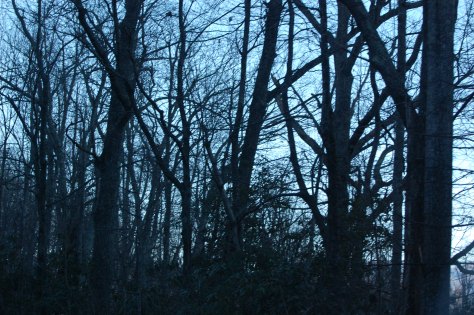 Losing the light. Photograph and copyright by Barbara Mattio 2015