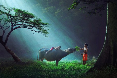 What we can do for a child of this world.