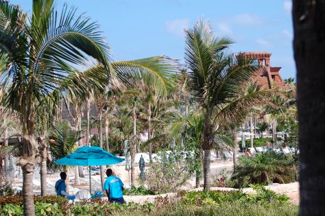 Nassau. It is a wonderful world if we don't destroy it! Photograph and copyright by Barbara Mattio 2013