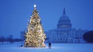 lighted Christmas tree in Washington DC with Capitol building in background