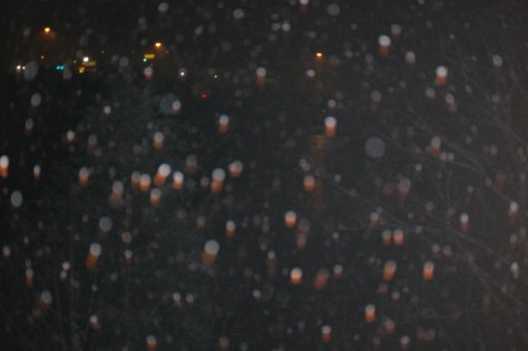 Snowflakes falling. Taken from my third floor balcony at 2:00 am Friday morning