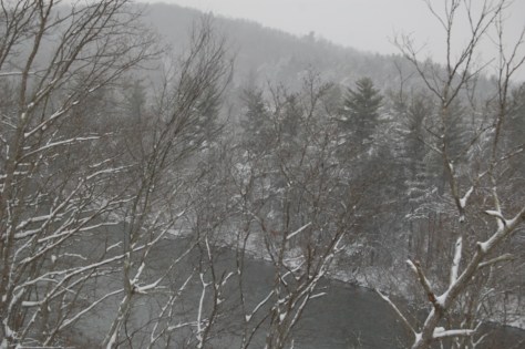 The view downriver from my den window. Photograph and copyright by Barbara Mattio 2016