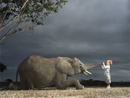 child and elephant
