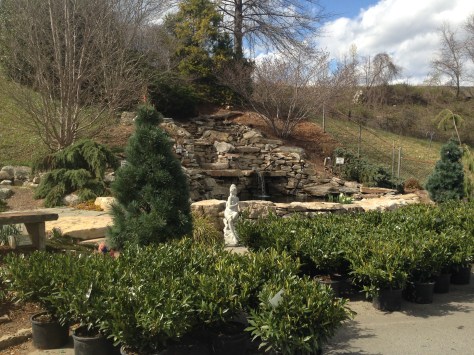 Time for gardening again. Photo and copyright by Barbara Mattio, 2016