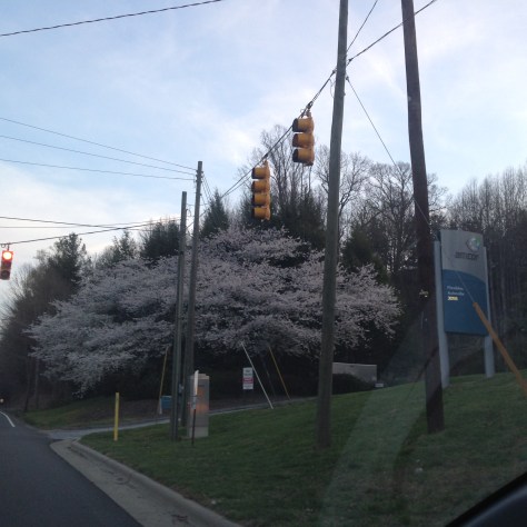 Everywhere you look, there is color. Photograph and copyright by Barbara Mattio, 2016