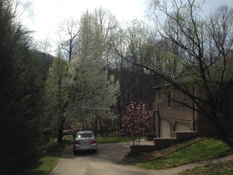 Photograph and copyright by Barbara Mattio, 2016