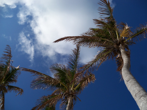 I wish you all blue skies and gentle breezes. Photograph and copyright by Barbara Mattio, 2013