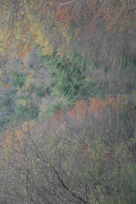 Around every curve and hill is more beauty to thrill the soul. Photograph and copyright by Barbara Mattio, 2016