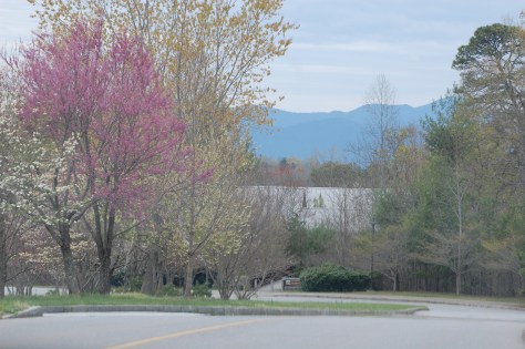 The mountain air is as sweet to the lungs as the mountains are to the eyes. Photograph and copyright by Barbara Mattio, 2016 