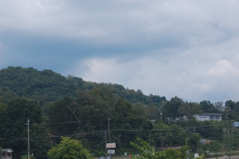 Simple beauty. Photograph and copyright by Barbara Mattio 2016