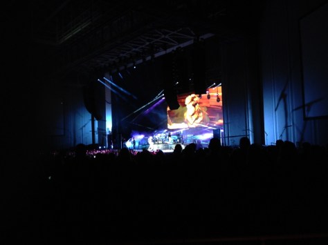 Roger Taylor on the big screen. Photograph and copyright by Barbara Mattio, 2016