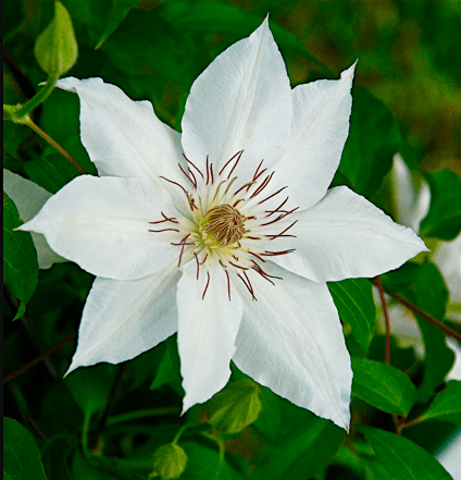 Screen Shot 2016-04-12 at 6.31.26 PM.png