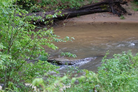 The Broad River. Photograph and copyright by Barbara Mattio, 2016