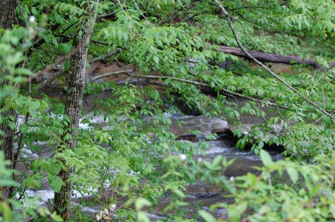 The Broad River. Photograph and copyright by Barbara Mattio, 2016