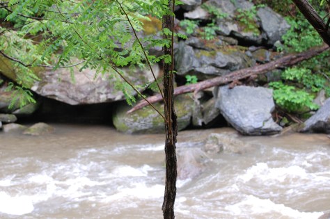Some of the rocks which have slid down the river are quite large. Photograph and copyright by Barbara Mattio, 2016