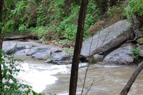 The Broad River. Photograph and copyright by Barbara Mattio, 2016